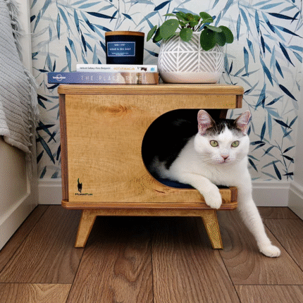 DWW Stylish plywood cat house (3)