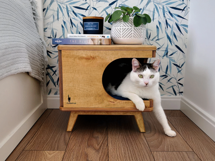 DWW Stylish plywood cat house (3)