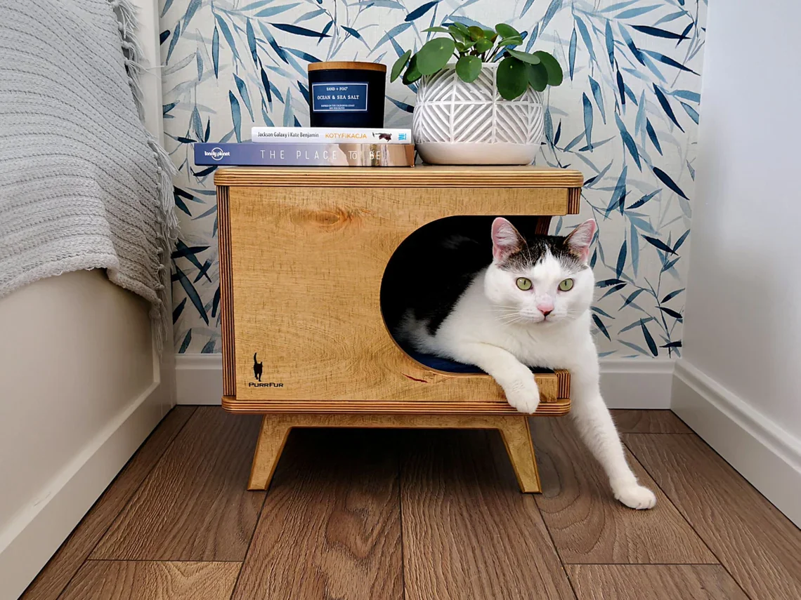 DWW Stylish plywood cat house (3)