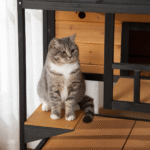 DWW Wooden Cat house (3)