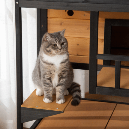 DWW Wooden Cat house (3)
