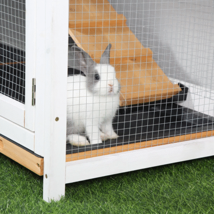 DWW wooden Rabbit hutch (2)