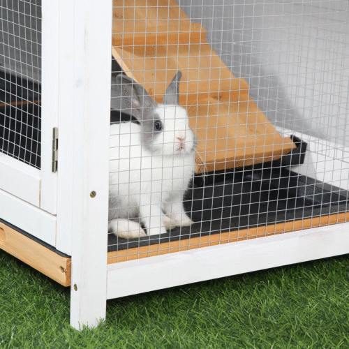DWW wooden Rabbit hutch (2)