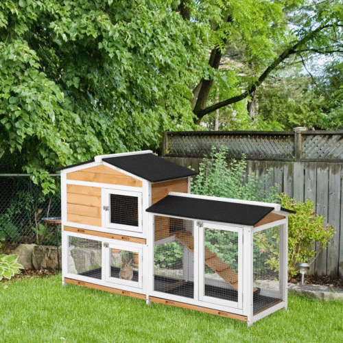 DWW wooden Rabbit hutch (4)