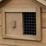 DWW building a chicken coop house.