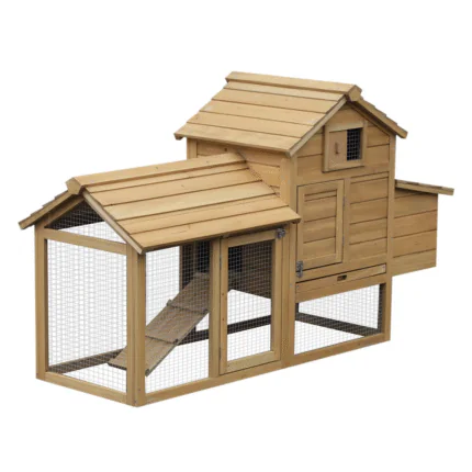 DWW building a chicken coop house.