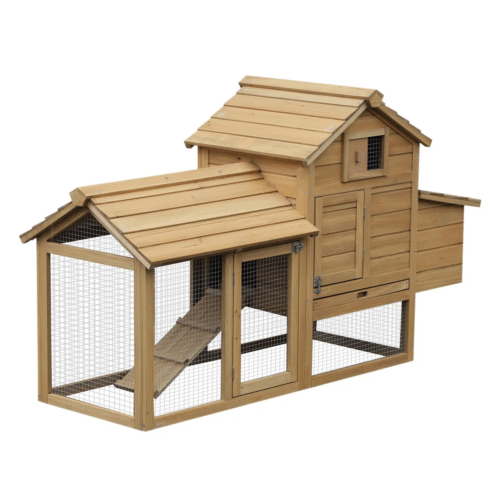 DWW building a chicken coop house.