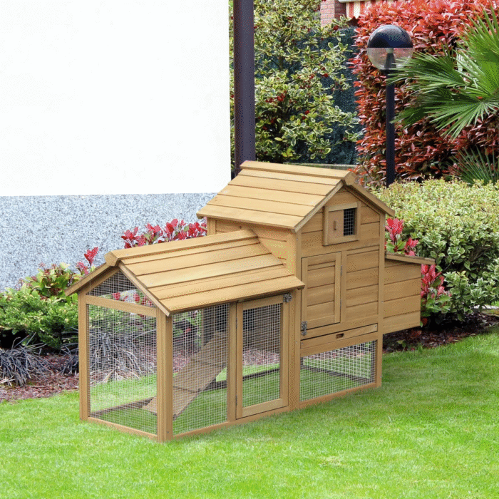 DWW building a chicken coop house.