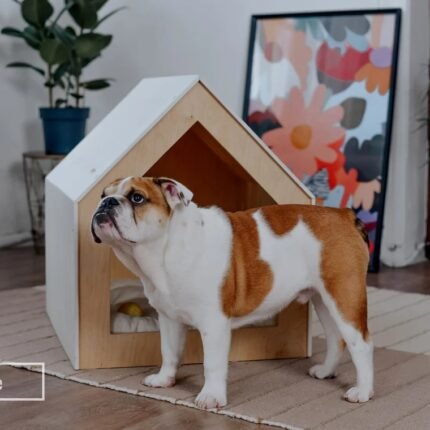 Pet house for dogs and cats (2)