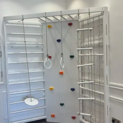 Monkey bar With Ladder